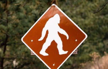 a road sign that says Bigfoot Crossing is in a forest