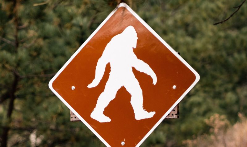 a road sign that says Bigfoot Crossing is in a forest