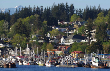 Fishing boats in front of city residences in Campbell River on a sunny day