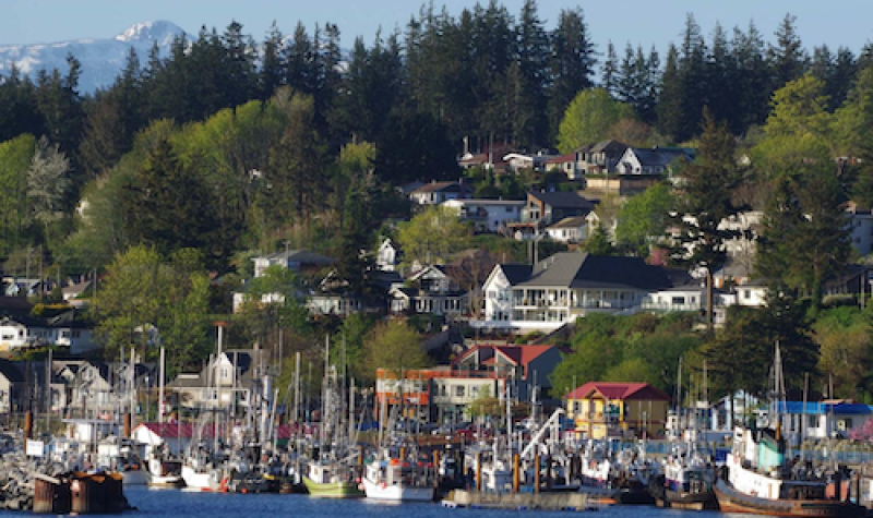 Fishing boats in front of city residences in Campbell River on a sunny day