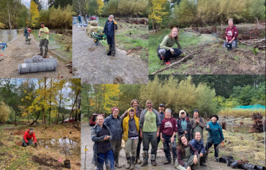 A collage of five photos showing people working outside with various tools.