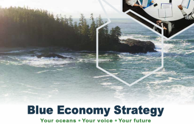 Blue Economy Strategy report image