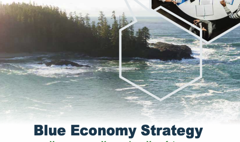 Blue Economy Strategy report image