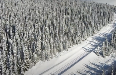An aerial view of the tree-lined Hudson Bay Mountain Road