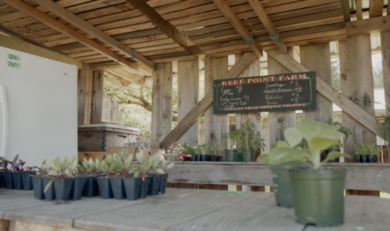 A wooden farm stand looks a little empty with only a few plants in pots on display for sale.