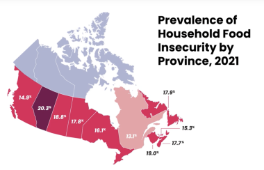 A map of Canadian provinces showing different rates representing levels of food insecurity, with New Brunswick showing 19%.