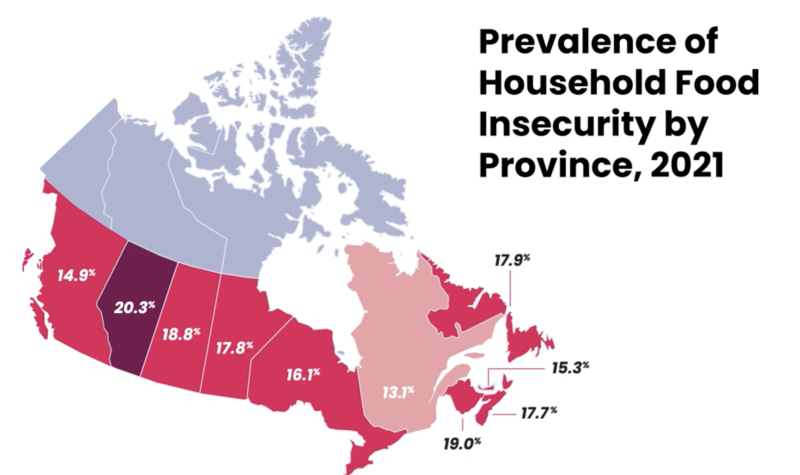 A map of Canadian provinces showing different rates representing levels of food insecurity, with New Brunswick showing 19%.