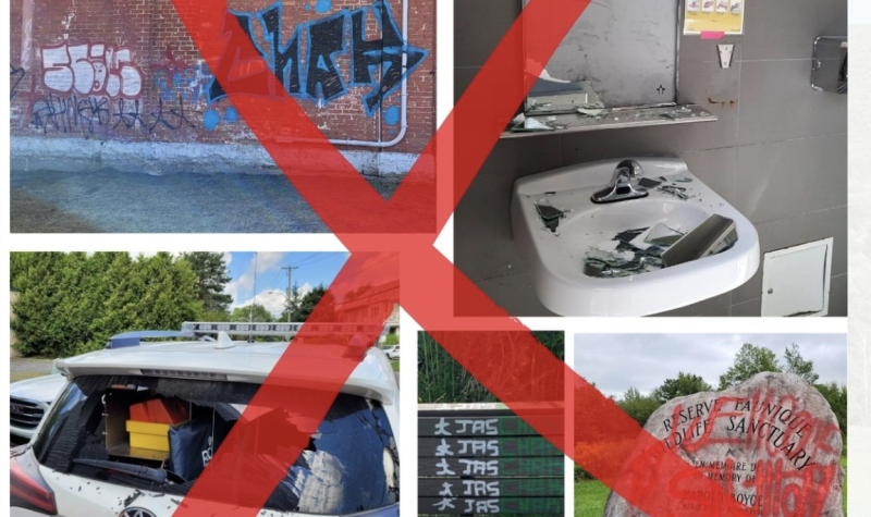 Pictured are five different instances of vandalism. The first photo shows spray paint on a brick wall of the John Sleeth building in Sutton. The second photo shows a bathroom with broken mirror with glass in the sink. The third photo shows the back window of the First Responders car smashed in. The fourth photo shows spray paint on a bench. The last photo shows a memorial rock at the natural spring site covered in spray paint.
