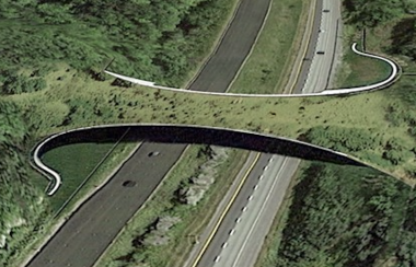 A rendering example of a forest crossing infrastructure over a highway to provide a safe passage for wildlife.