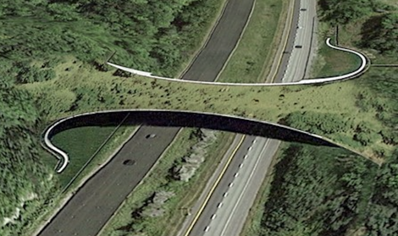 A rendering example of a forest crossing infrastructure over a highway to provide a safe passage for wildlife.
