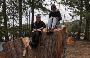 Two students write on notebooks on cut trees.