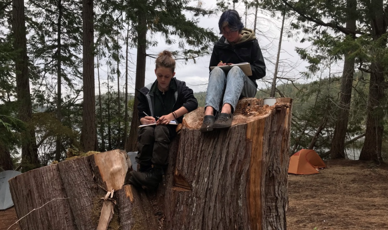 Two students write on notebooks on cut trees.