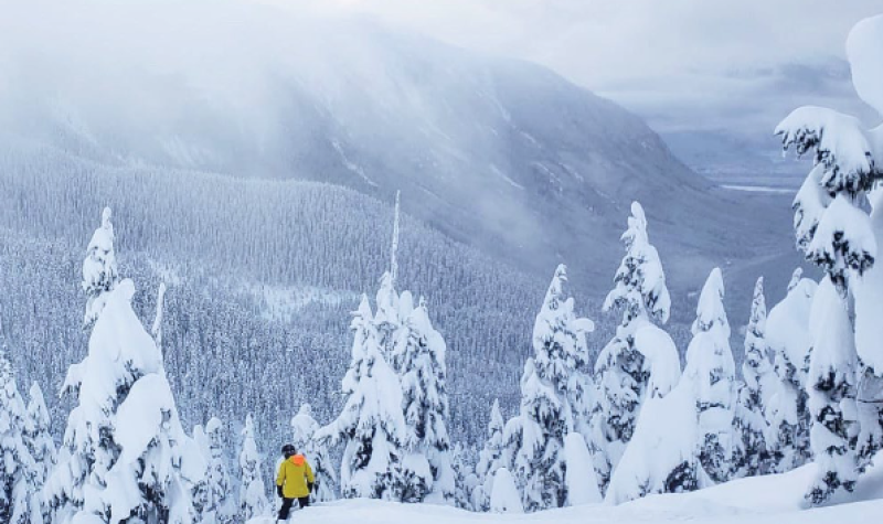 a skier stands on the precipice of a snowy mountain at the top of a snowy hill. There are snow capped trees surrounding them.