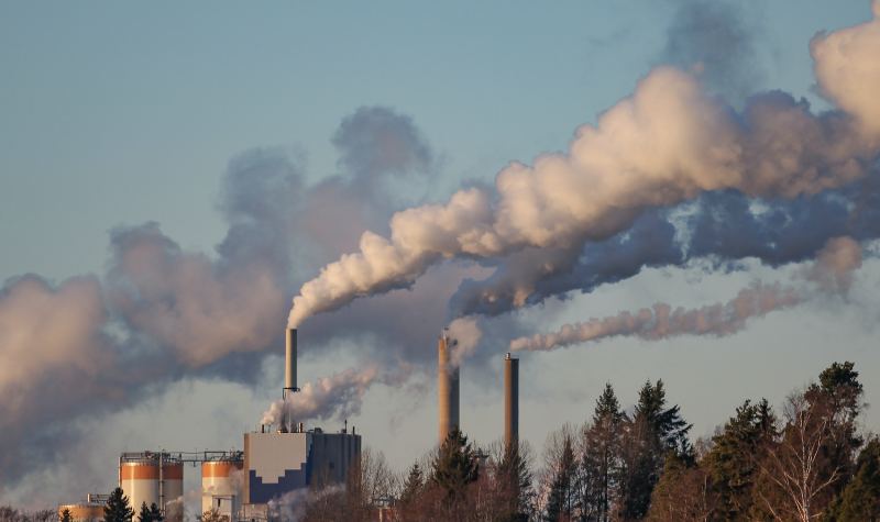 Smoke stacks bellowing out smoke into the sky next to pine trees.