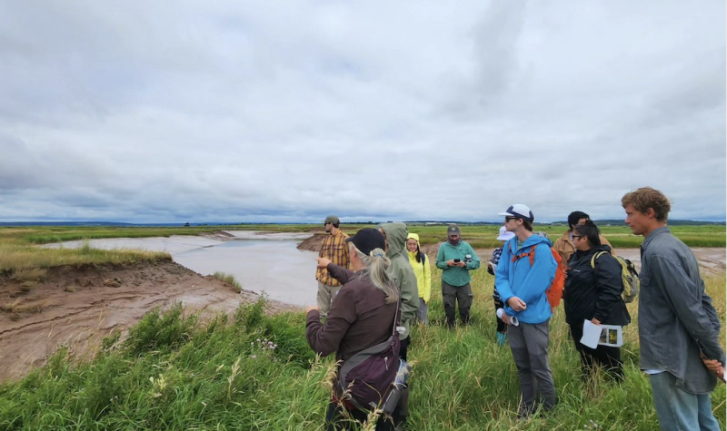 Group of people looking at wetlands
