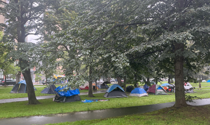 A group of tents pitched in a park with trees above and a pavement path in front