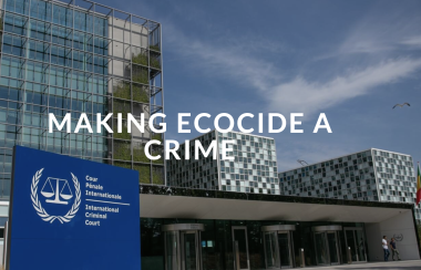 Stop Ecocide website header showing the international criminal court, with the slogan making ecocide a crime