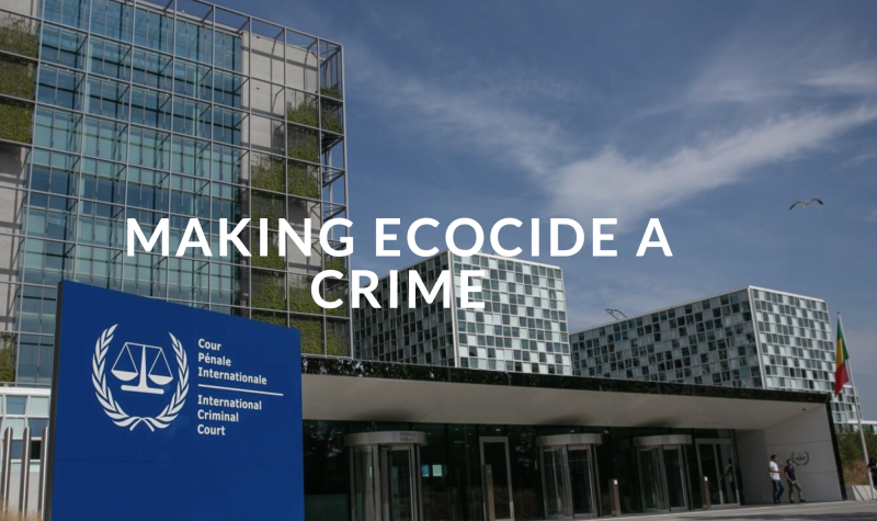 Stop Ecocide website header showing the international criminal court, with the slogan making ecocide a crime