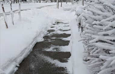 A sidewalk after a snowfall, where half of the walk has been shoveled, another part in the distance has not been shoveled.