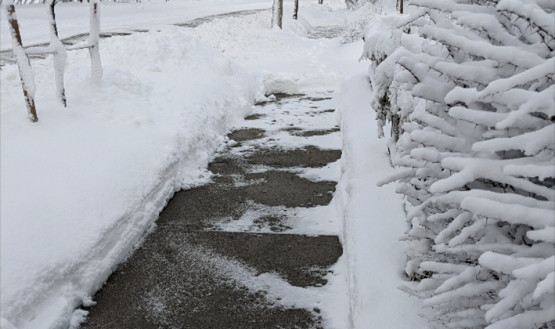 A sidewalk after a snowfall, where half of the walk has been shoveled, another part in the distance has not been shoveled.