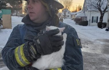 A firefighter in a blue bunker suit and a yellow helmet and covered in frost holds a white cat.