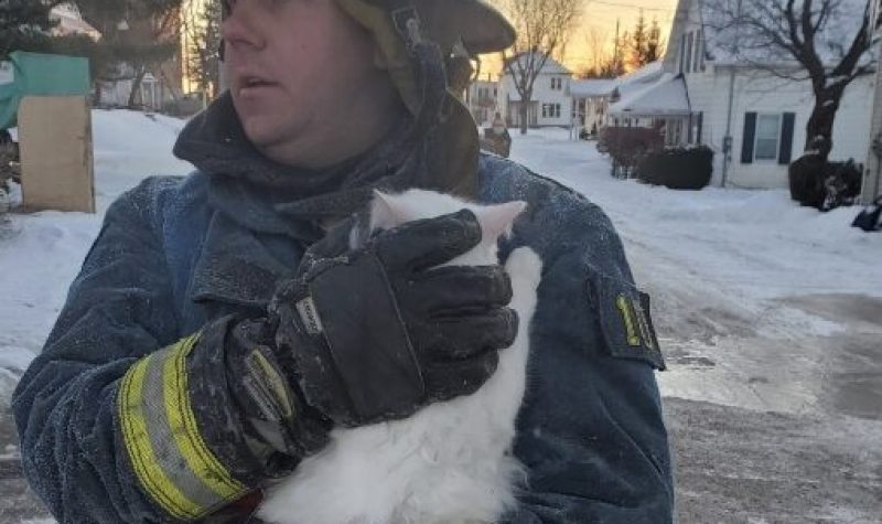 A firefighter in a blue bunker suit and a yellow helmet and covered in frost holds a white cat.