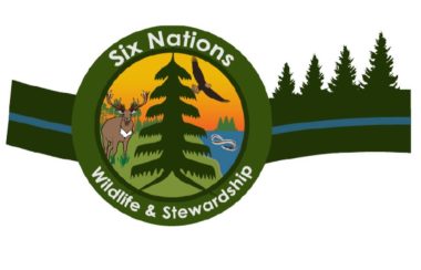White Background, green circle centred with a green evergreen tree in the middle of the circle a deer stands on the left of the tree and an eagle (upper) and snake (lower) on the right of the tree. A blue lake also sits to the right of the tree with an orange background for the sky all inside the original green circle. Three lines (Green, Blue, Green) run horizontally through the background and the green circle and more green evergreen trees sit on the right side of the circle.
