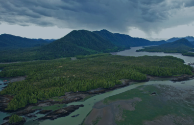 The Skeena Estuary from the air