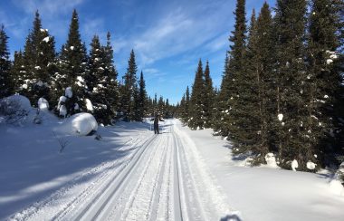 Avec la bordée de neige tombée ce jeudi, le Club de ski de fond pourrait ouvrir son sentier dès cette fin de semaine. Photo : Pascale Castilloux