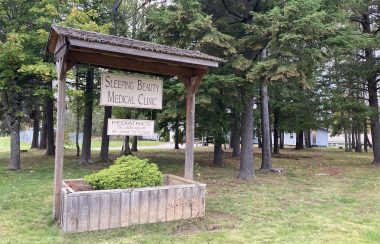 A wooden sign with a bush in the bottom in front of trees