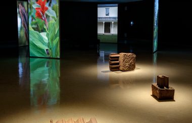 A gallery space with large colourful panels showing plants, and red sandstone sculptures interspersed throughout.