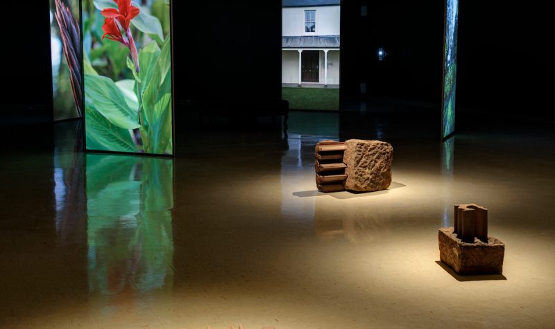 A gallery space with large colourful panels showing plants, and red sandstone sculptures interspersed throughout.