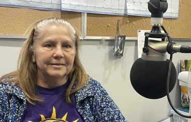 Woman with light brown hair, faces camera wearing purple shirt and dark blue speckled sweater.