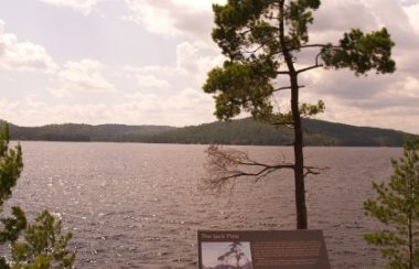 A photo of a pine tree, lake, and distant tree covered and landscape from Algonquin Park. A plaque in the foreground details how this is the spot where Tom Thompson took his inspiration for one of his paintings. There are white cumulous clouds blocking the sun and a light blue sky.