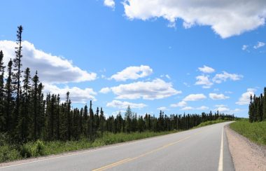 Une route pavée bordée d'épinettes sous un ciel bleu et rayonnant.