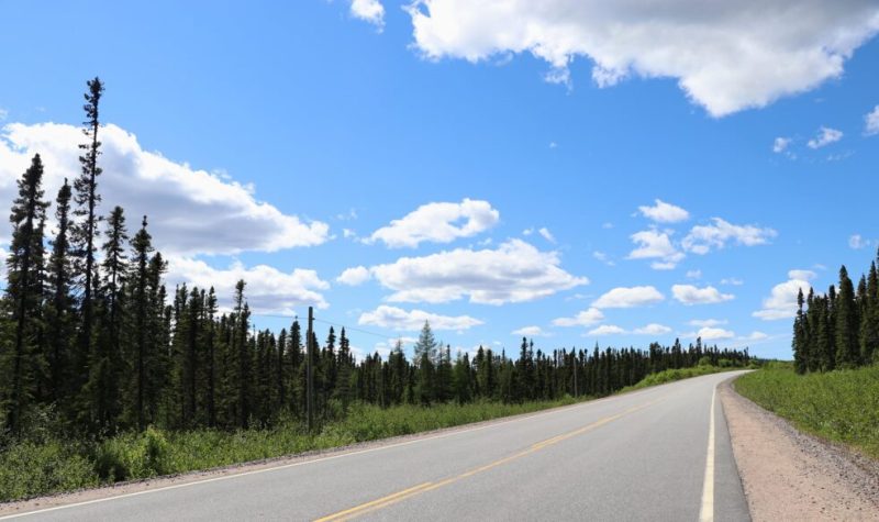Une route pavée bordée d'épinettes sous un ciel bleu et rayonnant.