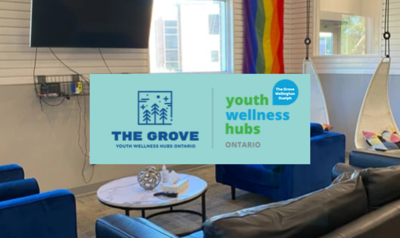 A tidy room with a TV and a pride flag is in the background of the Grove logo.