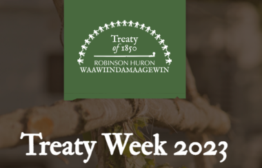 The treaty week logo, in green and white on an indigenous-themed background.
