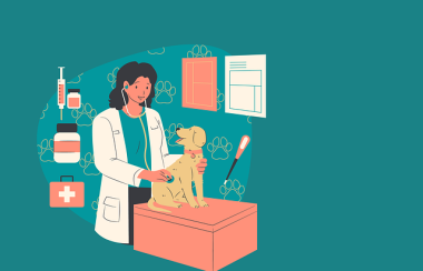 A digital drawing of a veterinarian with a dog on her examination table on a teal brackground.