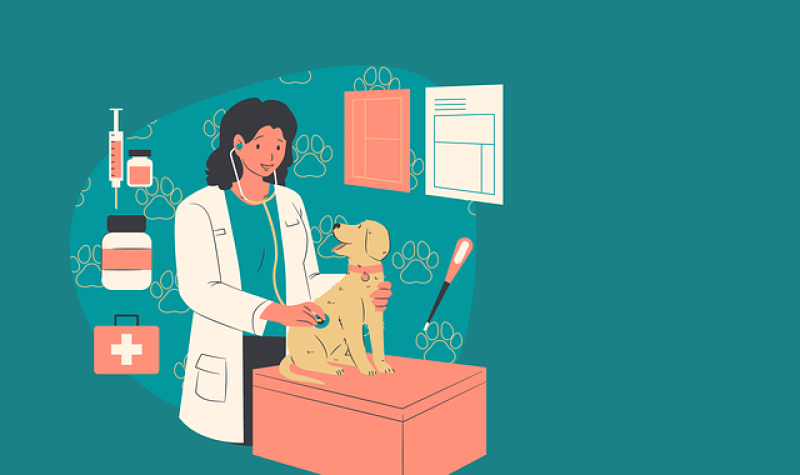 A digital drawing of a veterinarian with a dog on her examination table on a teal brackground.