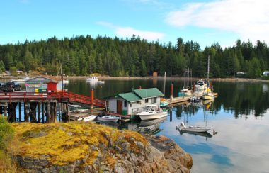Boats are moored at a dock and on floats in a BC coastal community.