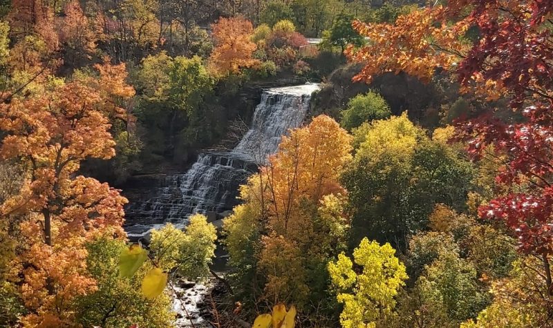 Una cascada en el centro de la foto rodeada por la vegetación de otoño