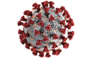 A red and white graphic of the COVID-19 virus up close.