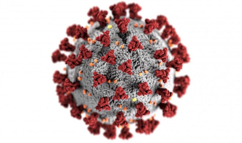 A red and white graphic of the COVID-19 virus up close.