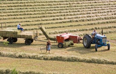 trois agriculteurs travaillent dans le champ avec un tracteur