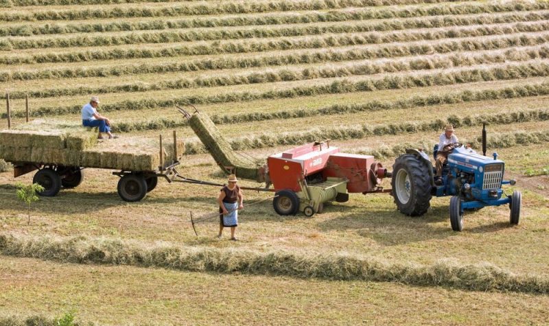 trois agriculteurs travaillent dans le champ avec un tracteur