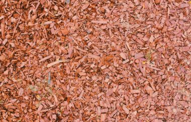 A photo of brown thinly split wood chips.