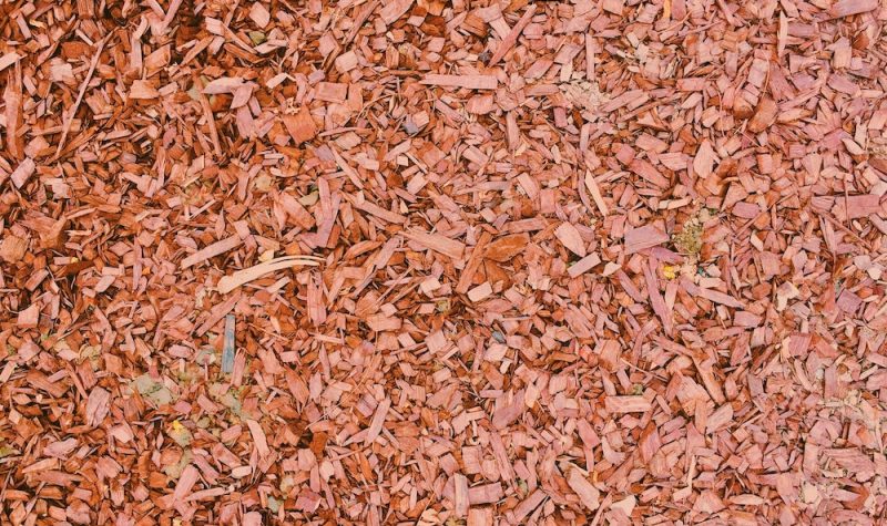 A photo of brown thinly split wood chips.