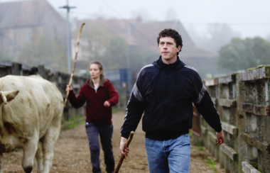 Un homme et une femme avec un long baton à la main marchant sur un chemin de terre et dirigeant une vache blanche