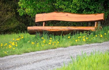 A handmade wooden bench sits by a path amongst grass and dandelion flowers.